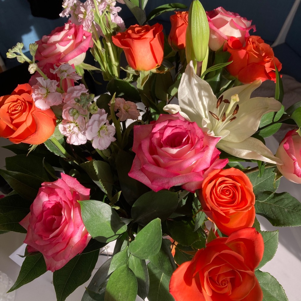 Meet your Posher, Angela